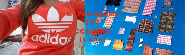 хмурый Надым