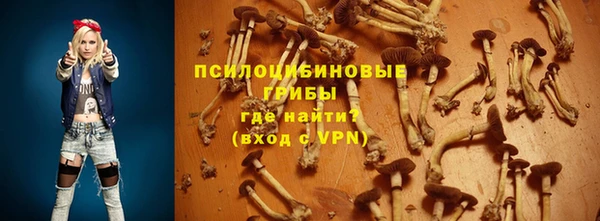 эйфоретик Михайловск