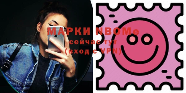 хмурый Надым